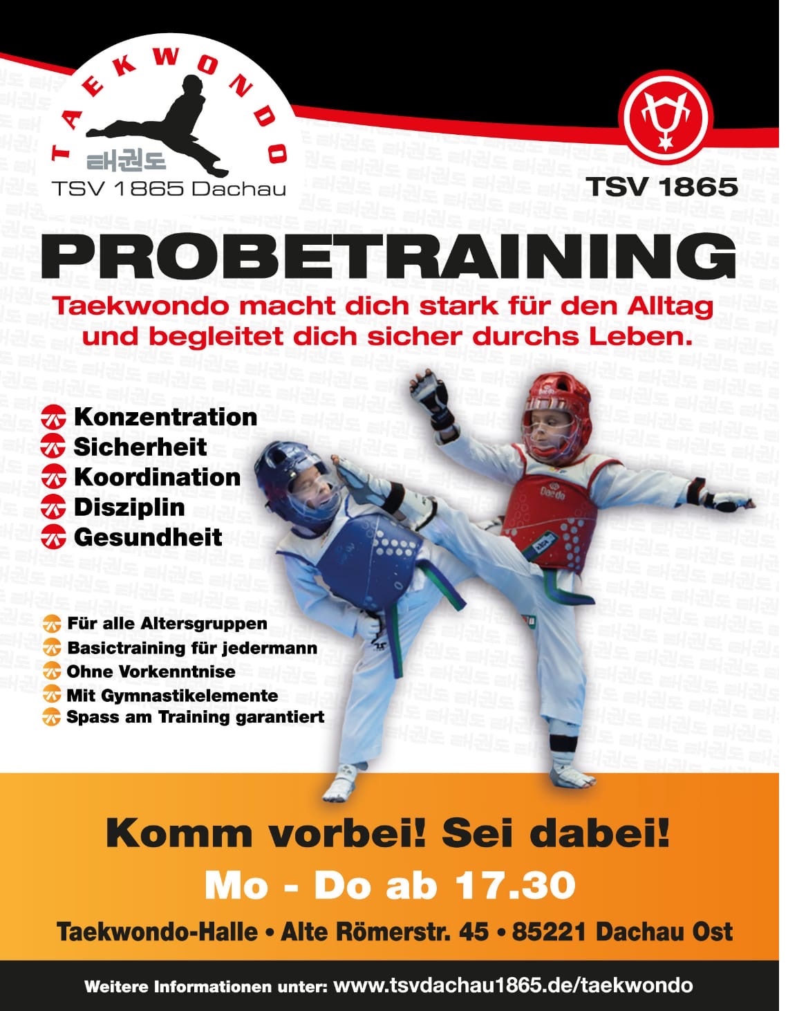 Probetraining Taekwondo TSV Dachau